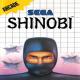 27 - Shinobi